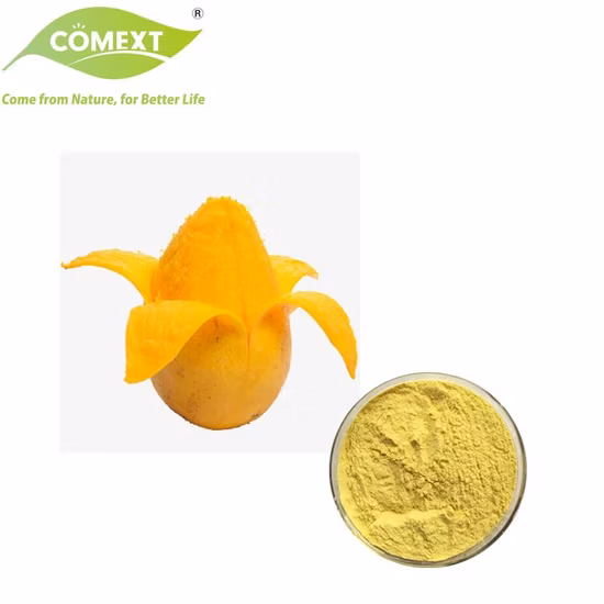 Campione gratuito di estratto di succo di frutta Noni in polvere sfuso