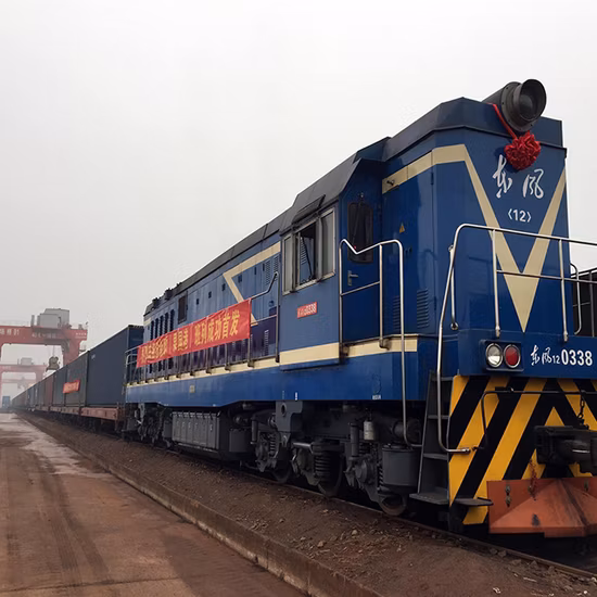 10 anni di esperienza negli estratti vegetali Il miglior servizio e il miglior prezzo per sviluppare mercati esteri.  Benvenuto ai nuovi amici Vinci