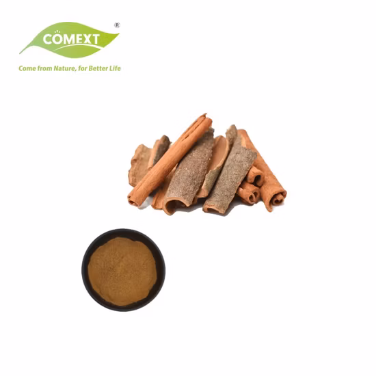Estratto naturale di erbe vegetali in polvere di cannella con essiccazione a spruzzo